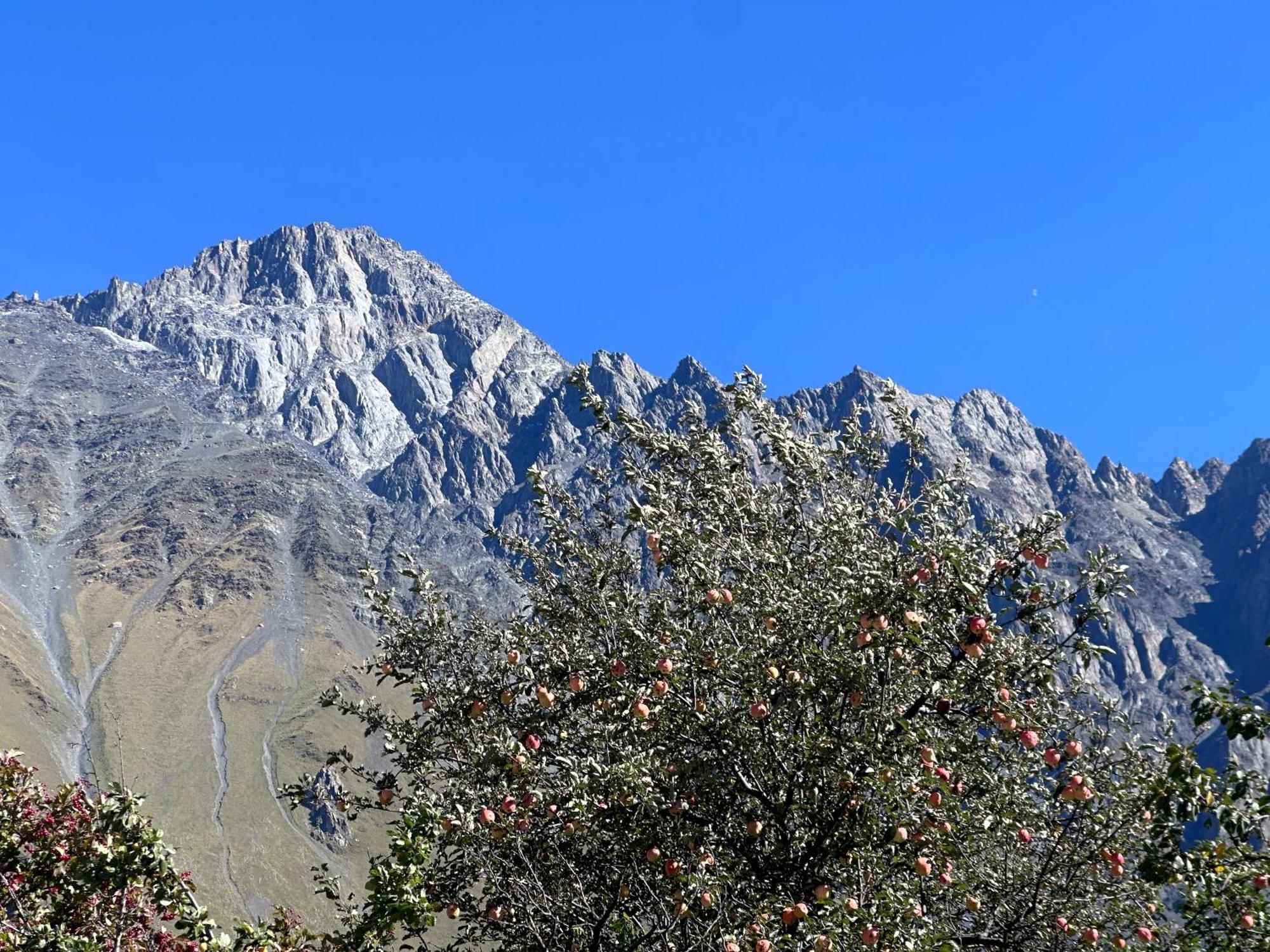 Hotel Mountime Kazbegi Exteriör bild